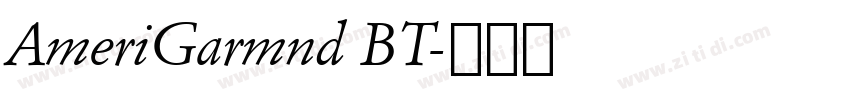AmeriGarmnd BT字体转换